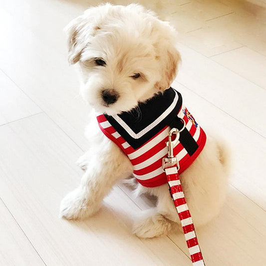 FurBaby leash with dog walking rope