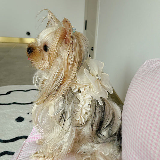 Pet Bow Tie Leash