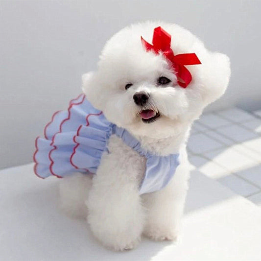 Cutest Princess Dress for Pets