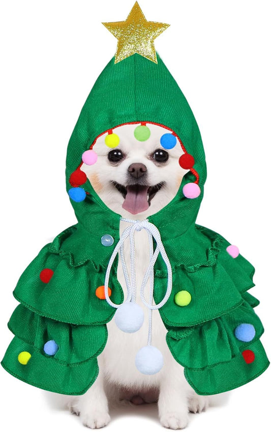 Cutest Christmas Outfit for Kitten and dogs