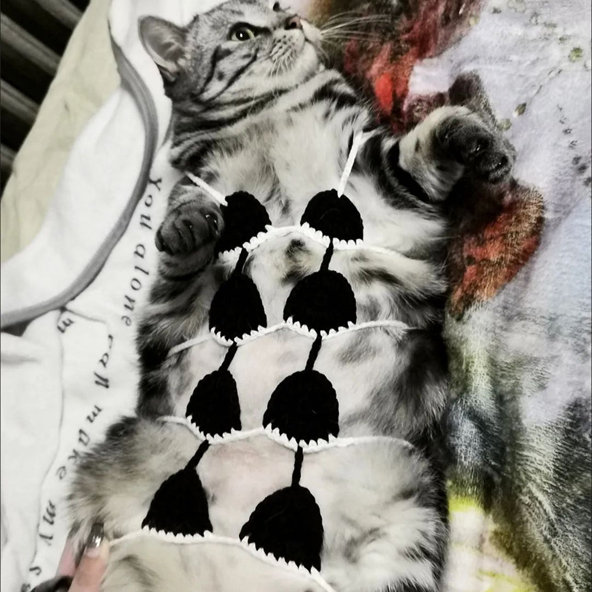Funny and Sexy Cat Bikini