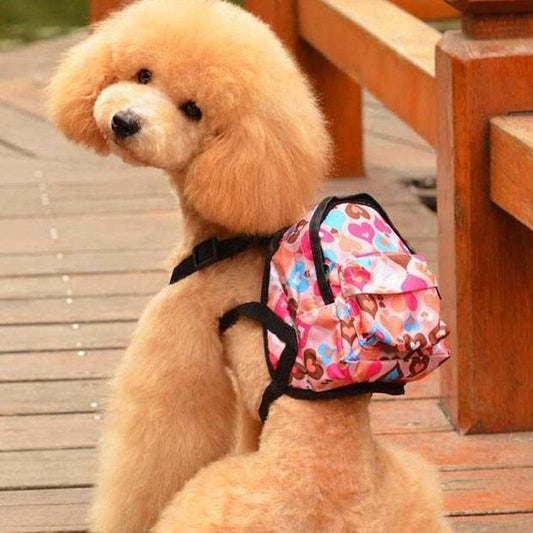 Bag style Leash for pet dog