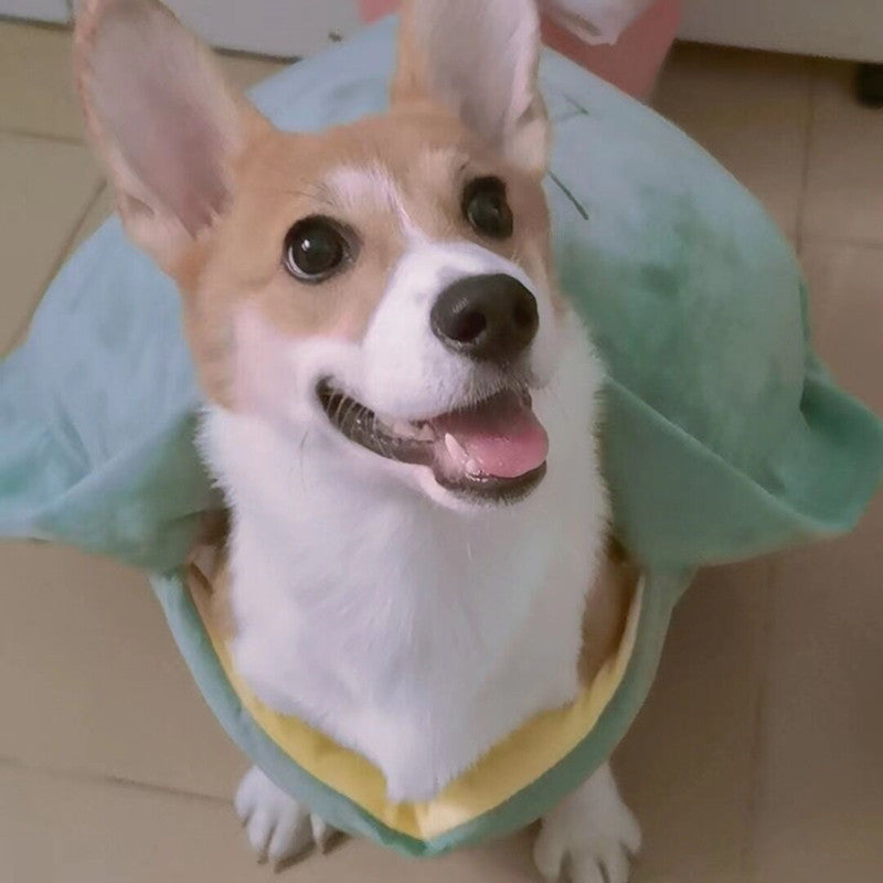 Funny and Cute Turtle Shell Pet Clothes