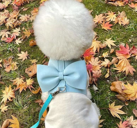 Handmade Pet Fleece Bow with Chest Strap and Lead Rope