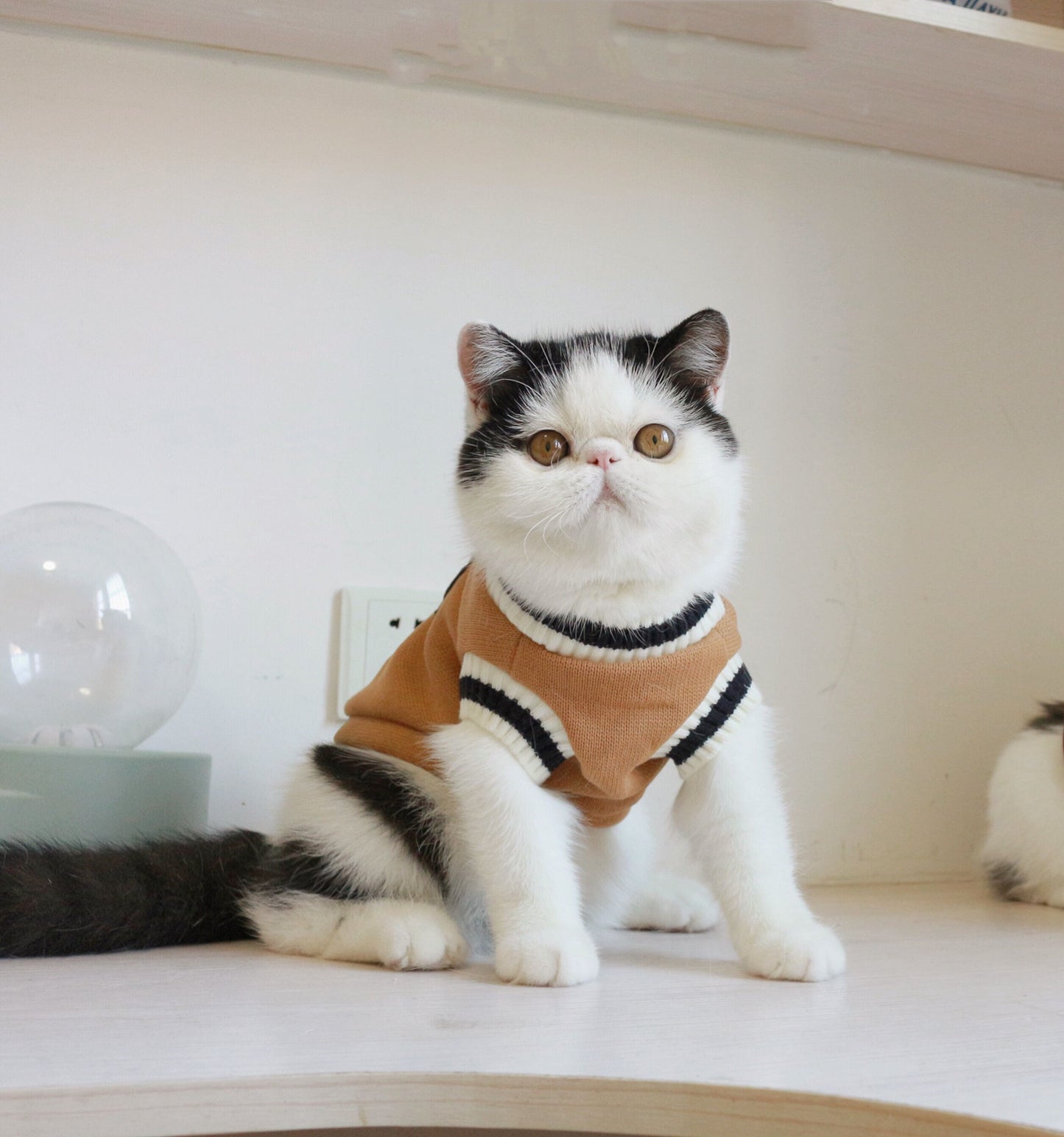 American College Style Sleeveless Sweater for Cats