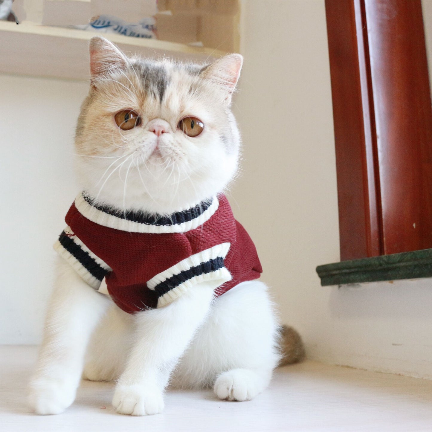 American College Style Sleeveless Sweater for Cats