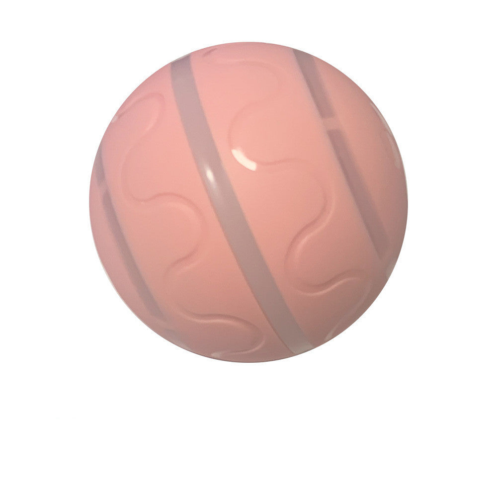Intelligent Self Rotating Ball for Pets