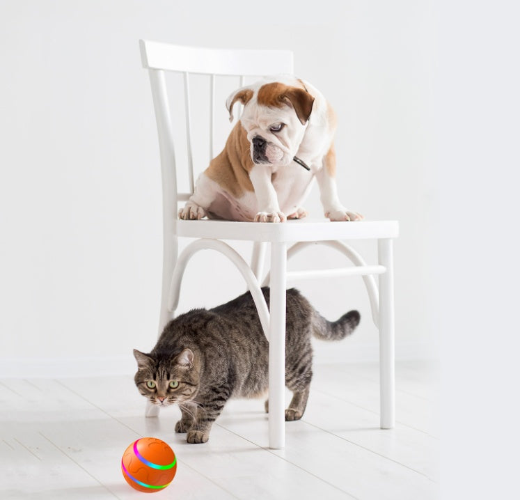 Intelligent Self Rotating Ball for Pets