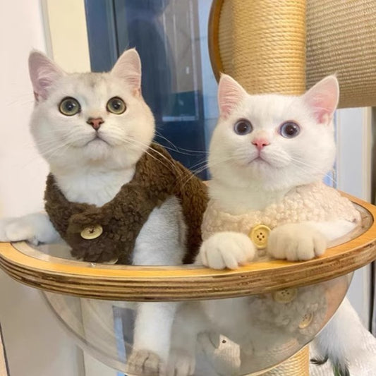 Cute Warm Lamb Wool Vest for Cats