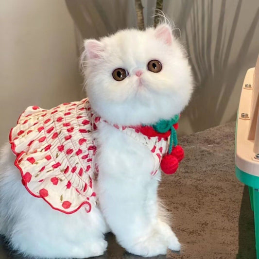 Summer Halter Skirt for Dogs/ cats