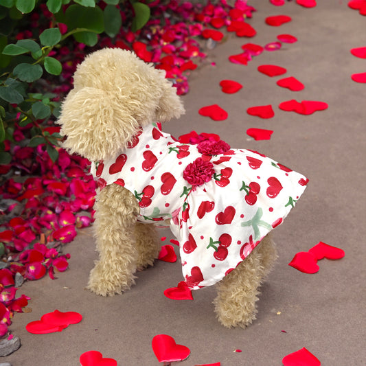 Creative and Cute Printed Dogs And Cats Skirt