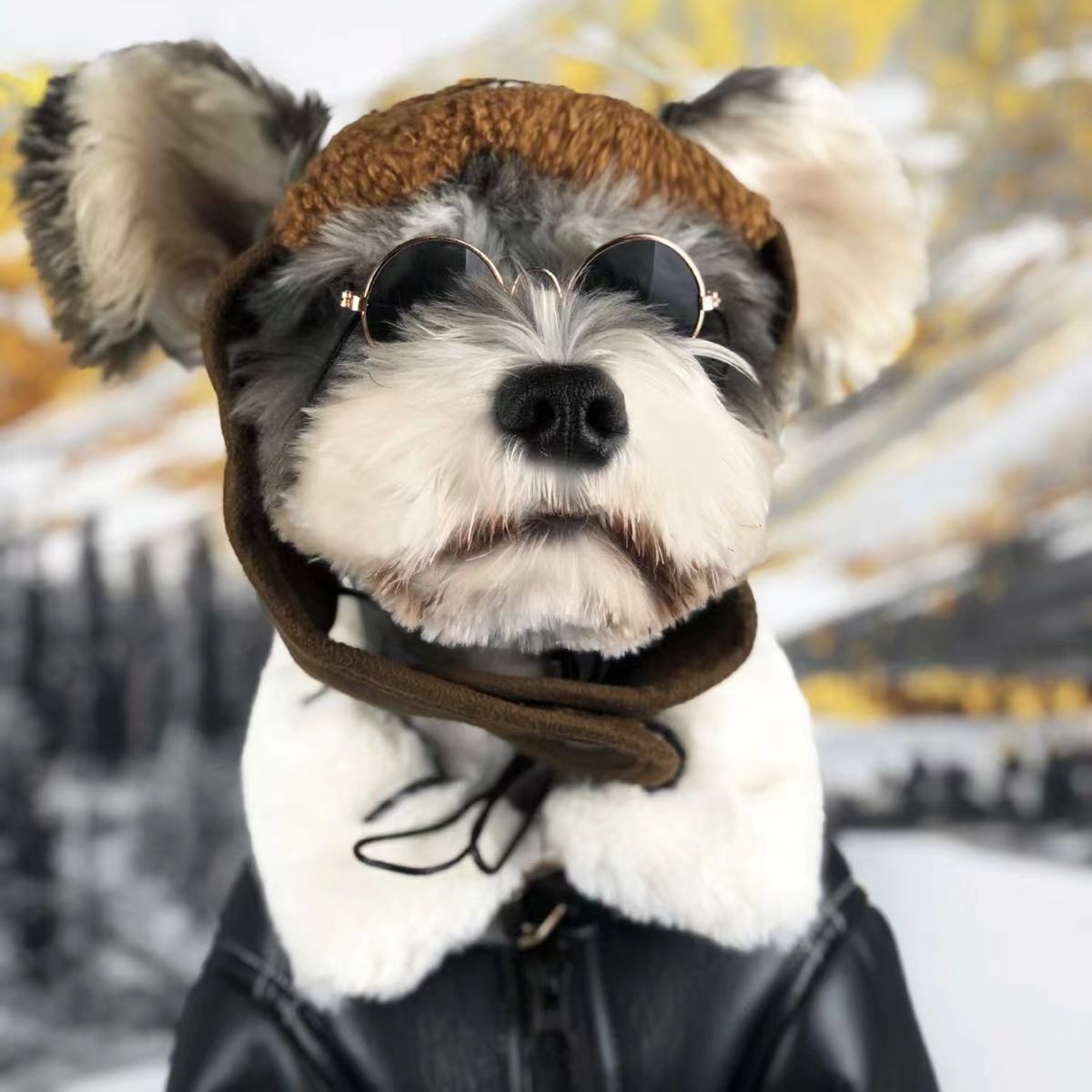 The Coolest Biker's Jacket for Pets