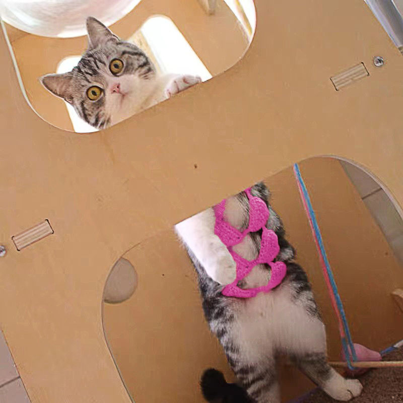 Funny and Sexy Cat Bikini