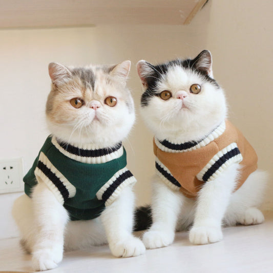 American College Style Sleeveless Sweater for Cats