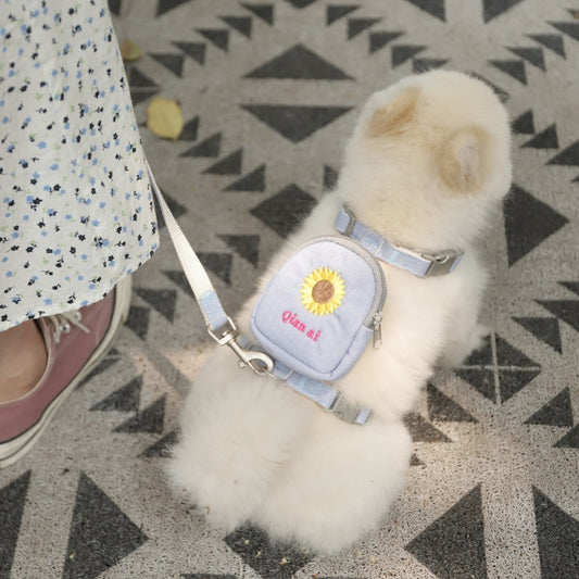 Pet Walking Rope/ Leash
